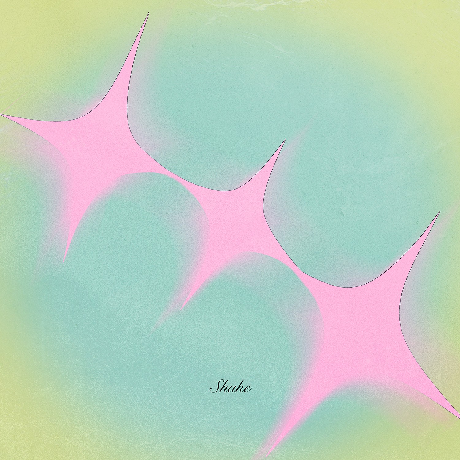 Flo Naegeli – Shakre